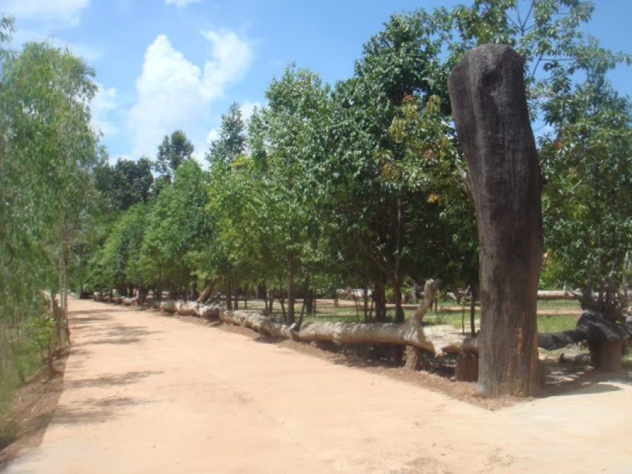 วัดป่าคำเจริญ